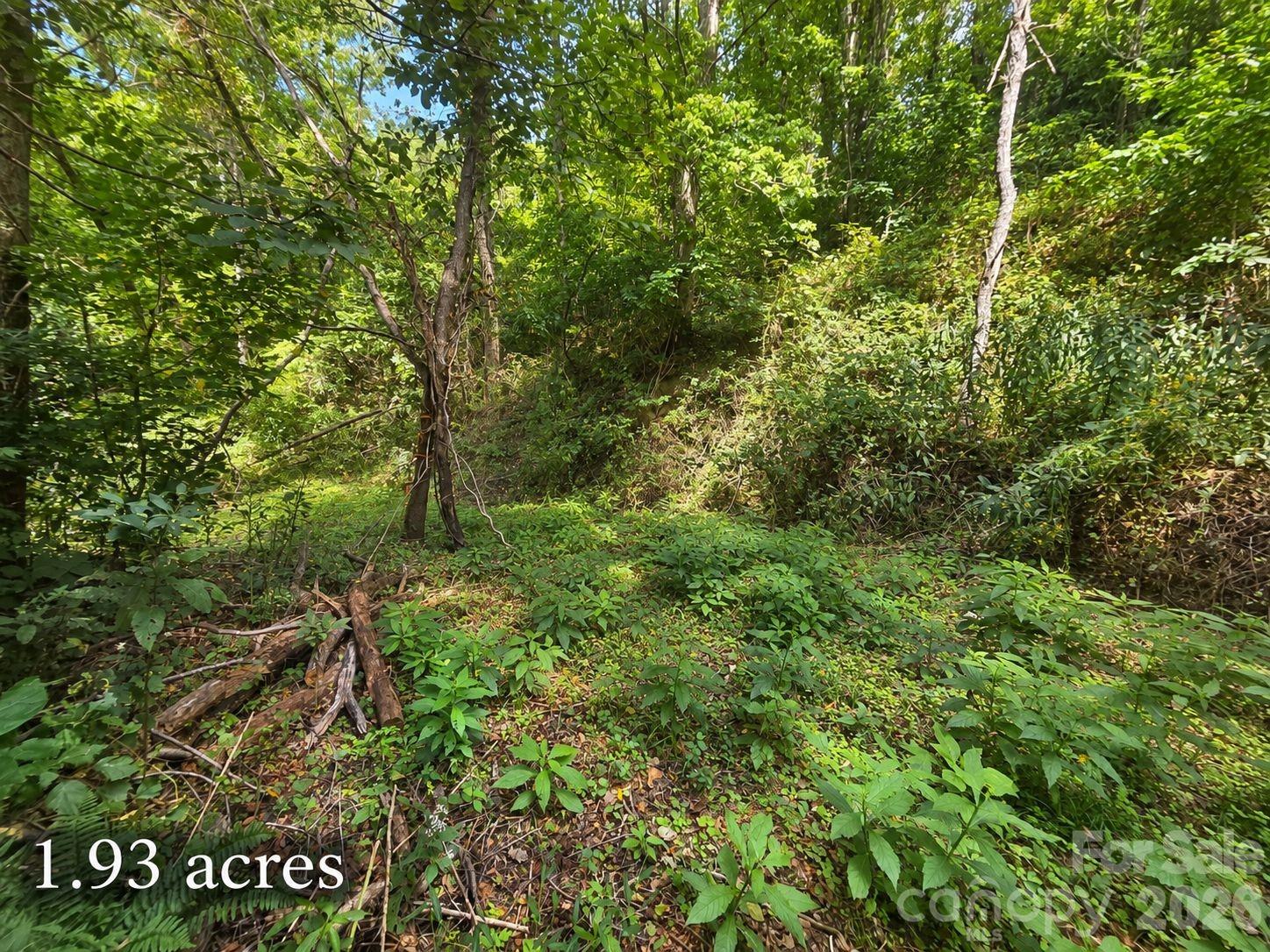 Lot at 81 Dove Crest Lane, Waynesville, photo 24 of 26
