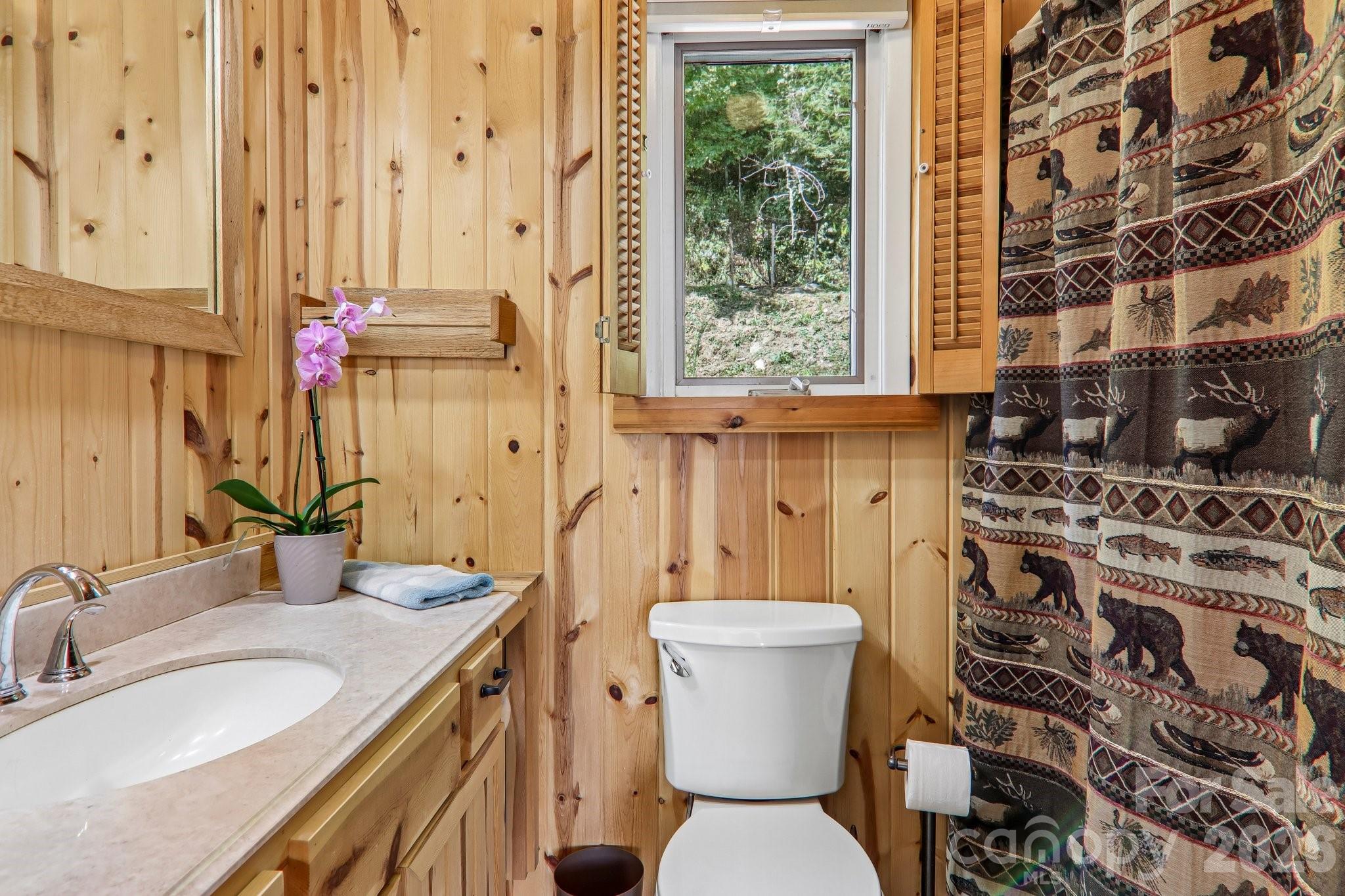 2nd Primary Suite Bath - 459 Lookout Drive, Mars Hill