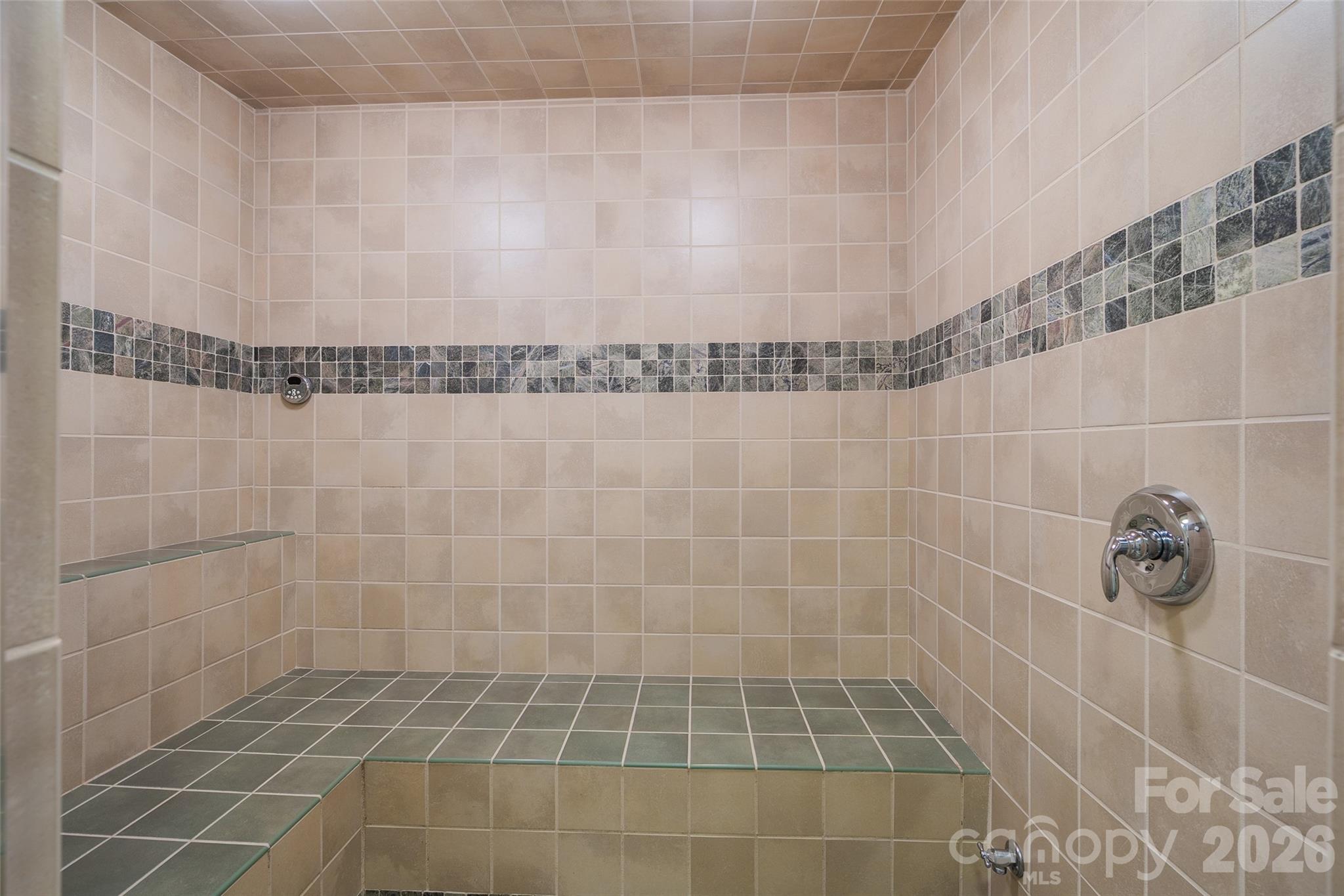 Steam room adds another unexpected luxury to this thoughtfully equipped home. - 174b Marina Cove, Waynesville