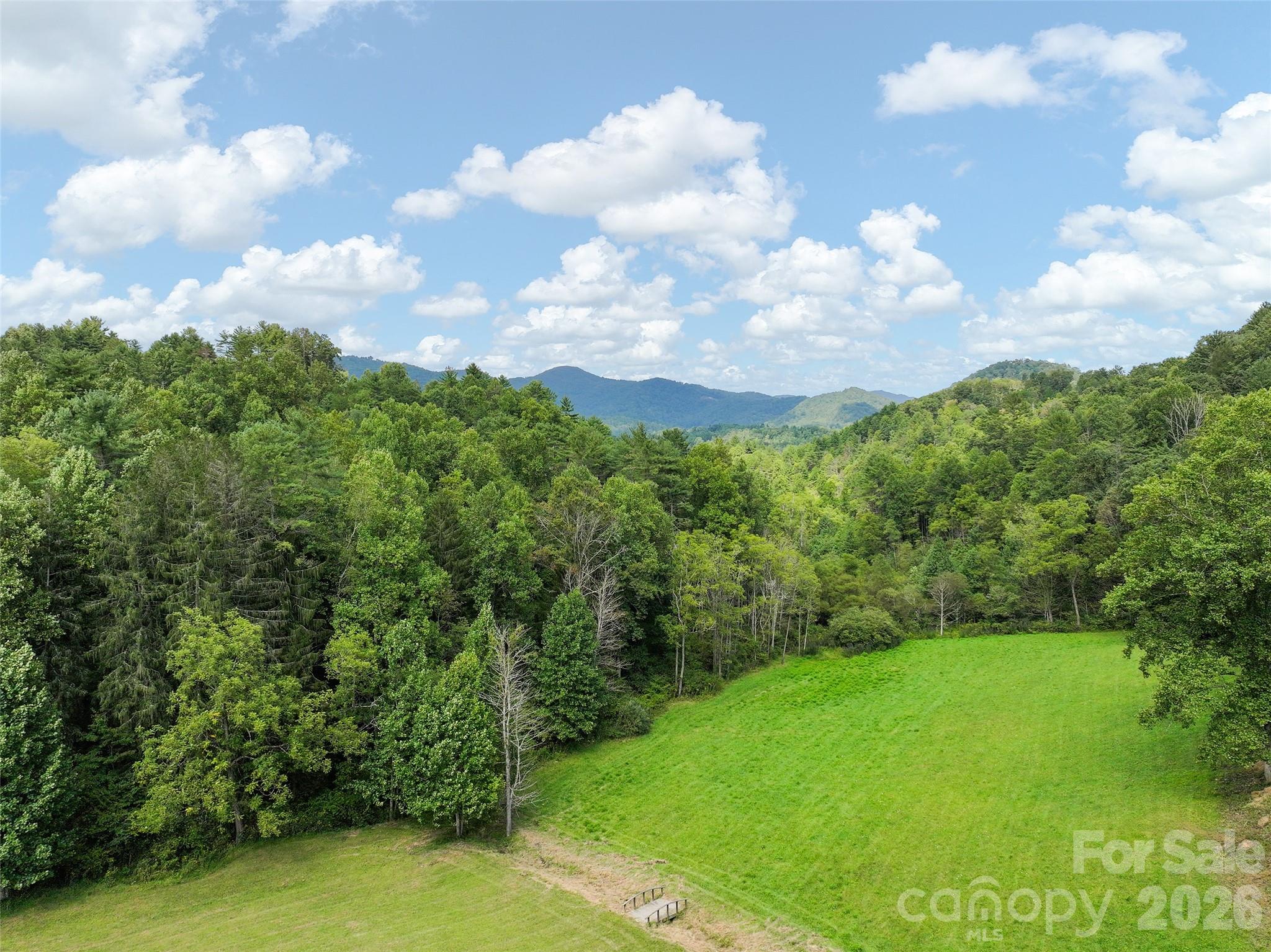 Mountain surroundings, open space and seclusion—the best of Western North Carolina living. - 174b Marina Cove, Waynesville