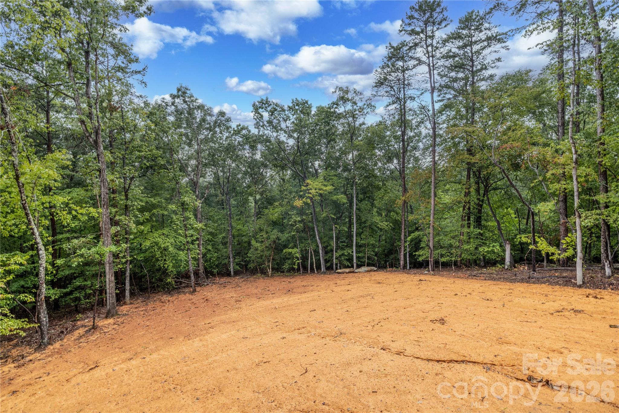Large Back Yard - 276 Basswood Road, Troy