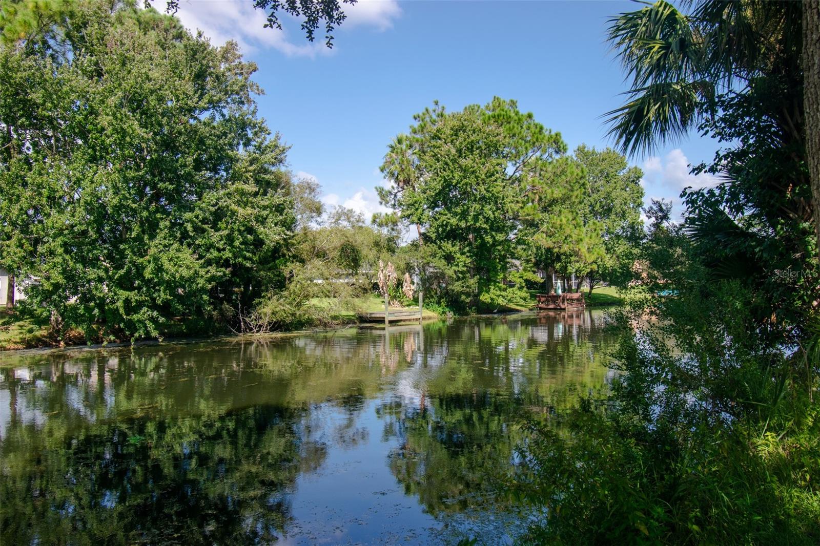 225 BIRCHWOOD DR