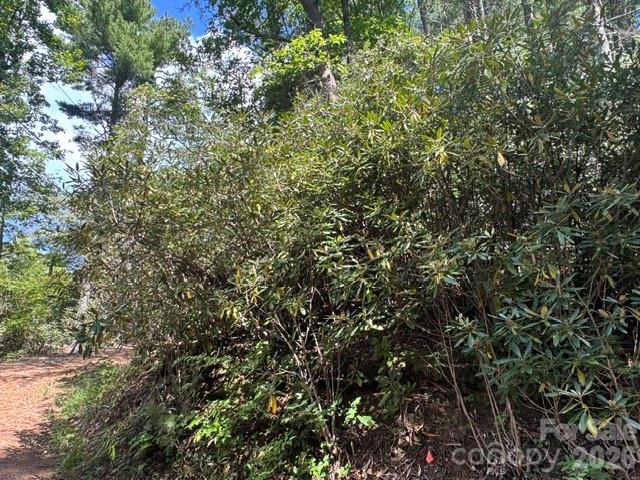 Acreage at TBD Jane Lane, Hendersonville, photo 6 of 41