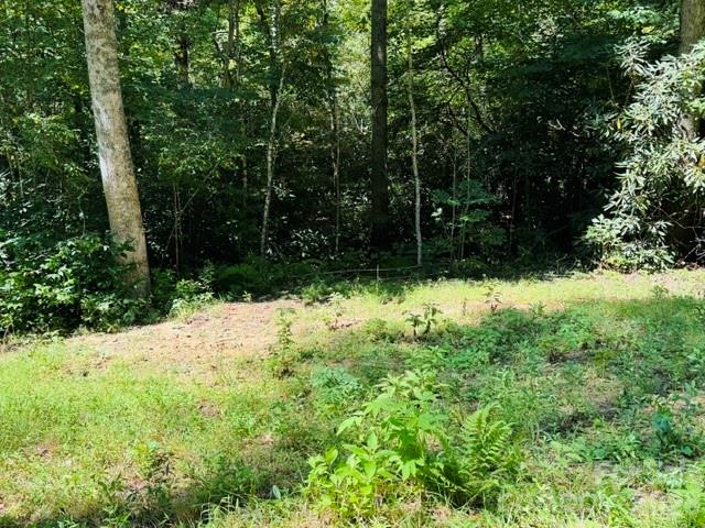 Acreage at TBD Jane Lane, Hendersonville, photo 4 of 41