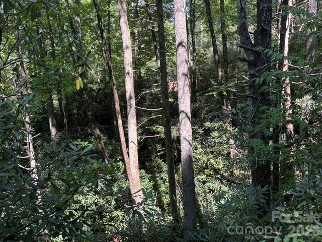 Acreage at TBD Jane Lane, Hendersonville, photo 8 of 41