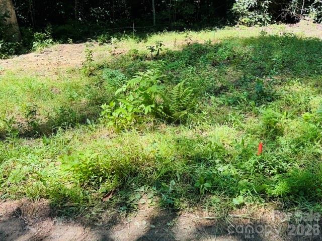 Acreage at TBD Jane Lane, Hendersonville, photo 11 of 41