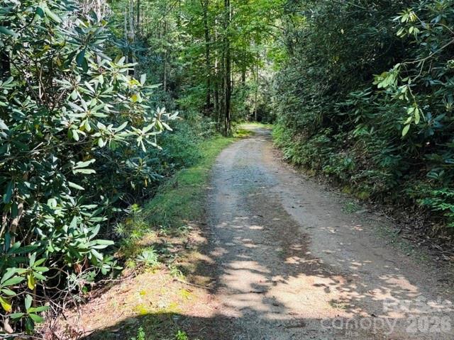 Acreage at TBD Jane Lane, Hendersonville, photo 13 of 41