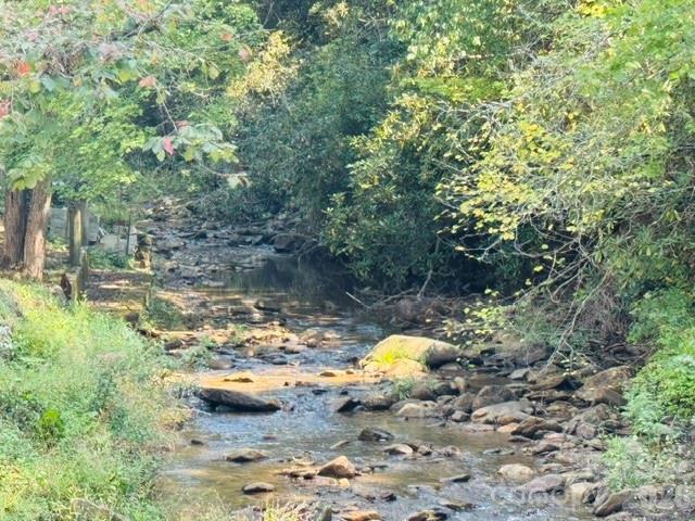 Acreage at TBD Jane Lane, Hendersonville, photo 14 of 41