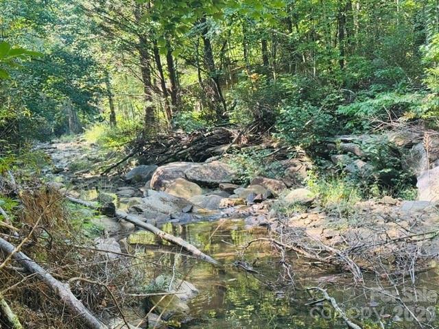 Acreage at TBD Jane Lane, Hendersonville, photo 16 of 41