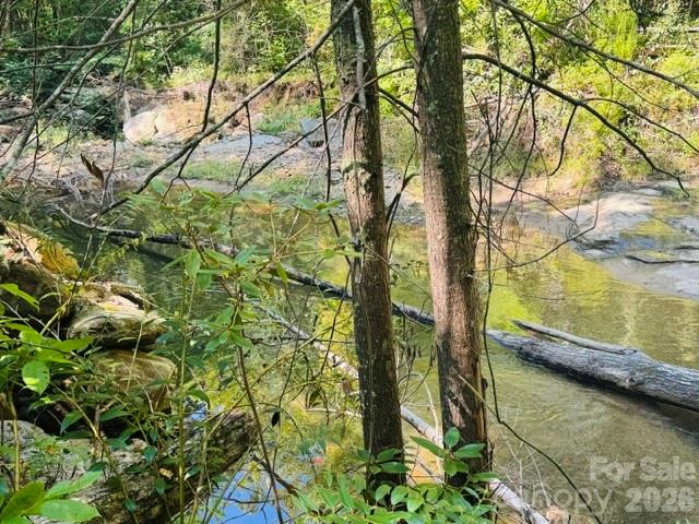 Acreage at TBD Jane Lane, Hendersonville, photo 19 of 41