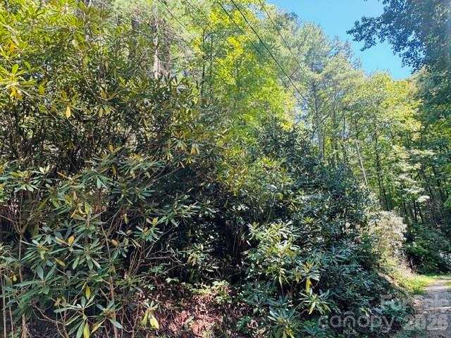 Acreage at TBD Jane Lane, Hendersonville, photo 20 of 41
