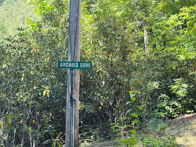 Acreage at TBD Jane Lane, Hendersonville, photo 21 of 41