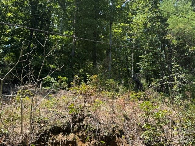 Acreage at TBD Jane Lane, Hendersonville, photo 25 of 41