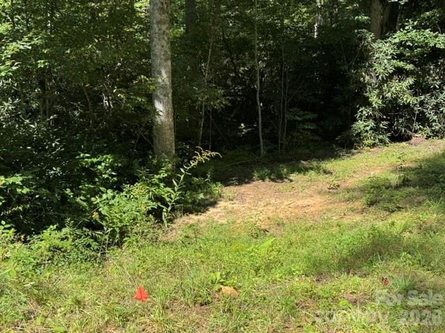 Acreage at TBD Jane Lane, Hendersonville, photo 26 of 41