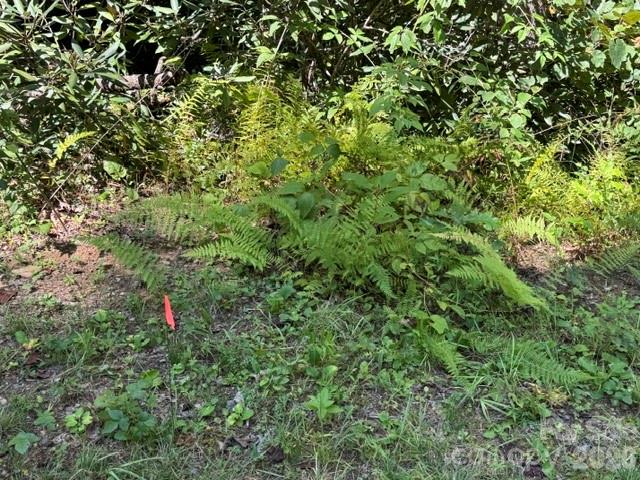 Acreage at TBD Jane Lane, Hendersonville, photo 27 of 41
