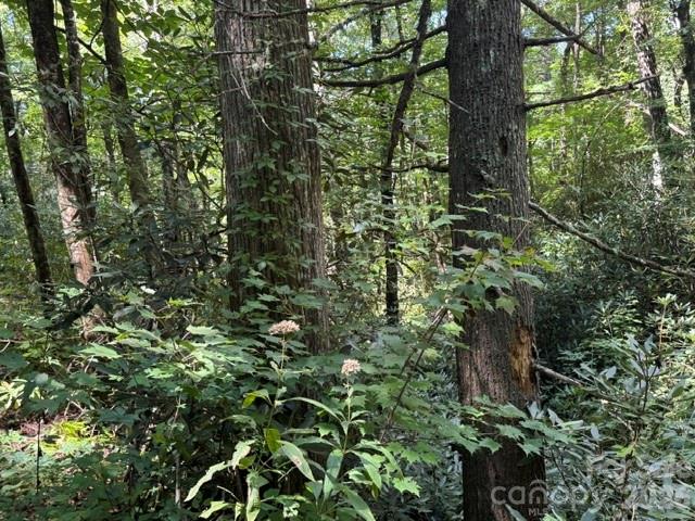Acreage at TBD Jane Lane, Hendersonville, photo 28 of 41