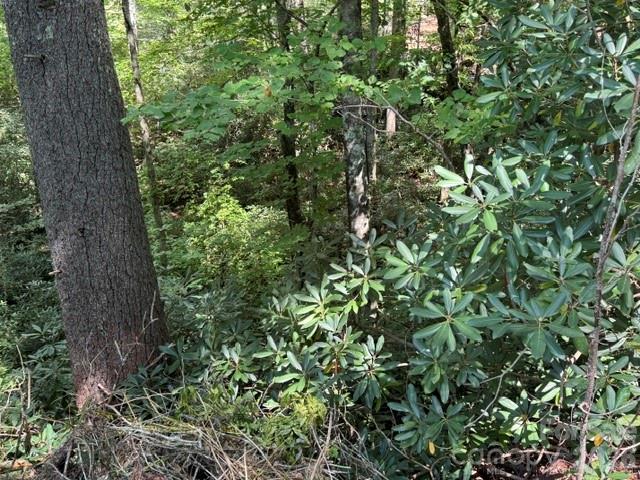 Acreage at TBD Jane Lane, Hendersonville, photo 34 of 41