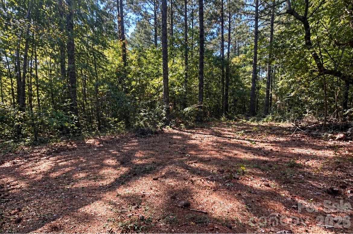 partial clearing 2 - 1216 Ross Road, Blackstock