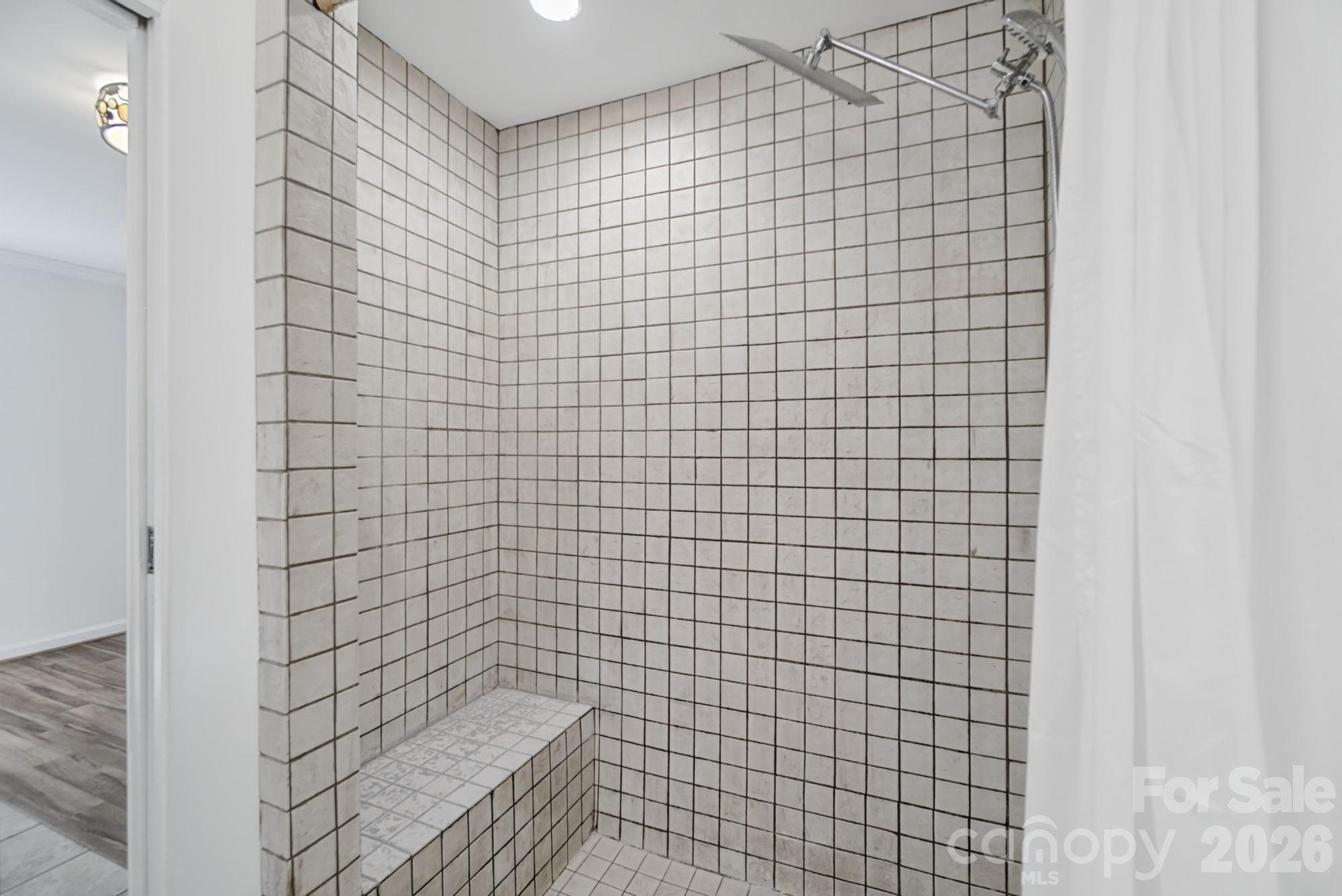 Large shower - 35 Clement Drive, Asheville