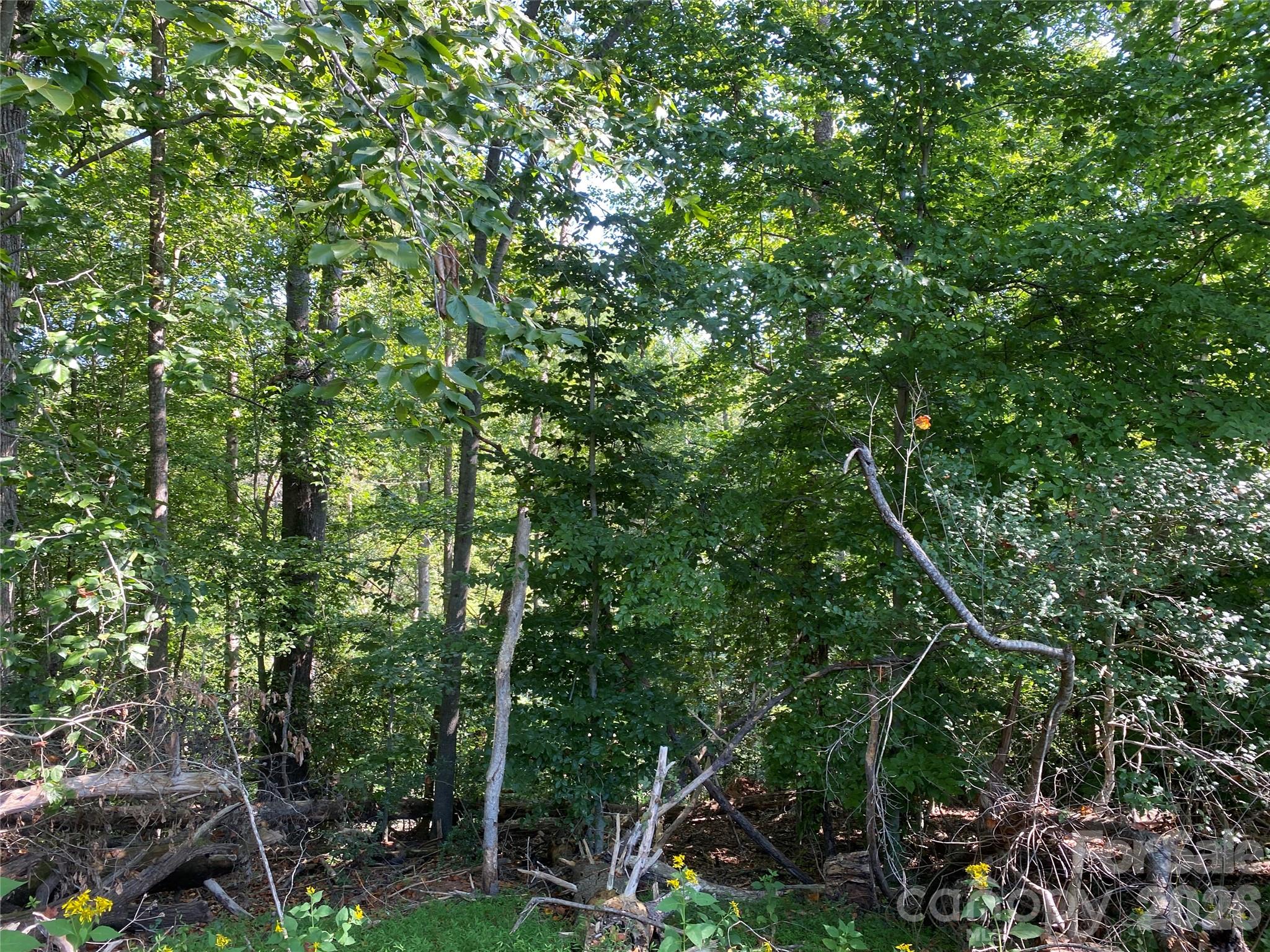 100+ ACRES Surround this Property - 615 Vine Arden Road, Morganton