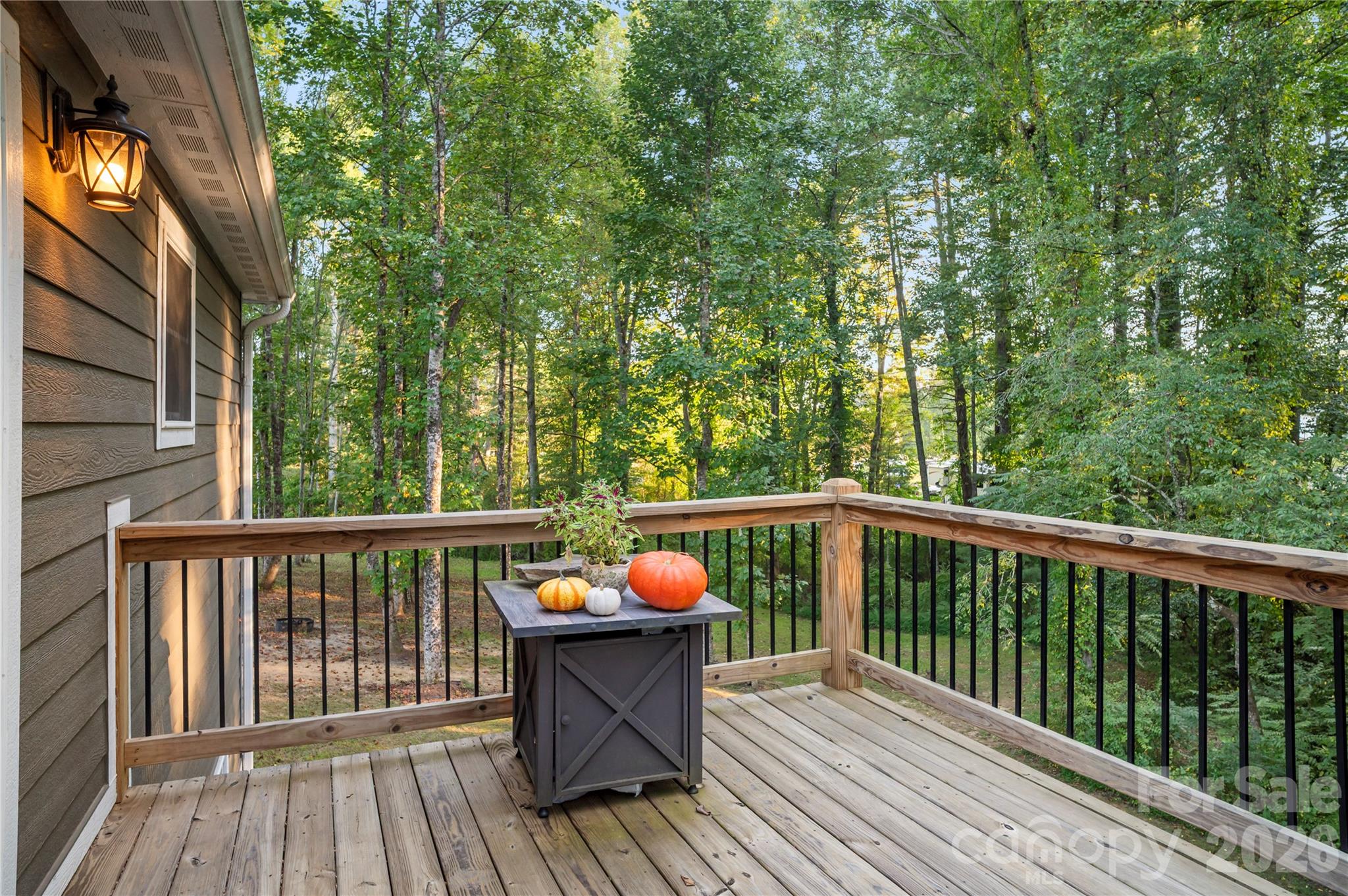 Single Family Residence at 212 Walt Drive, Hendersonville, photo 37 of 45