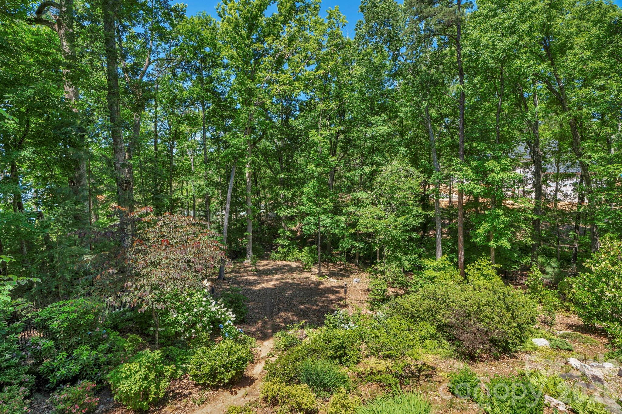 Backyard View. - 5138 Watermead Lane, Belmont