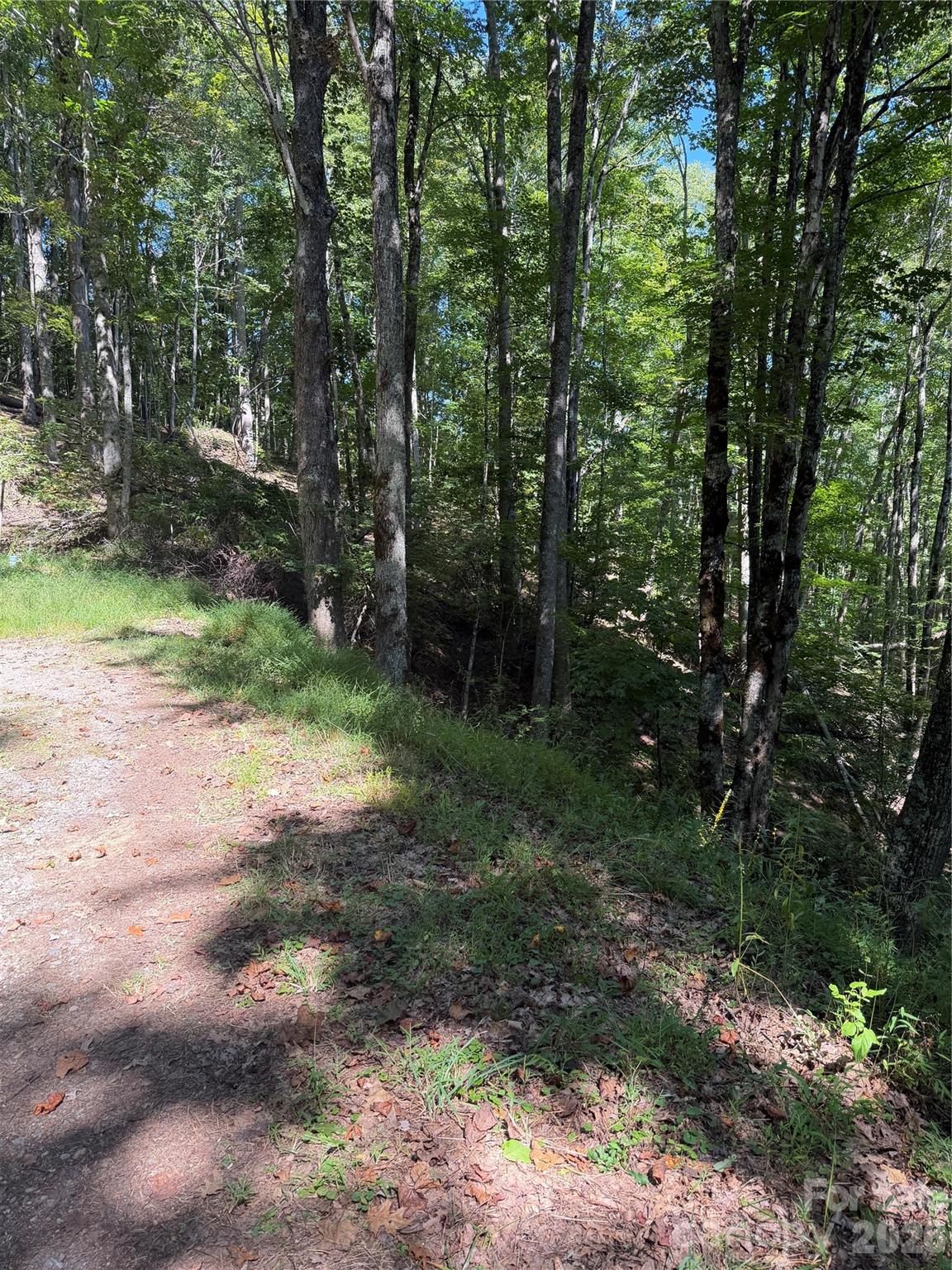 Lot at 38 Gardenside Lane, Mars Hill, photo 2 of 18