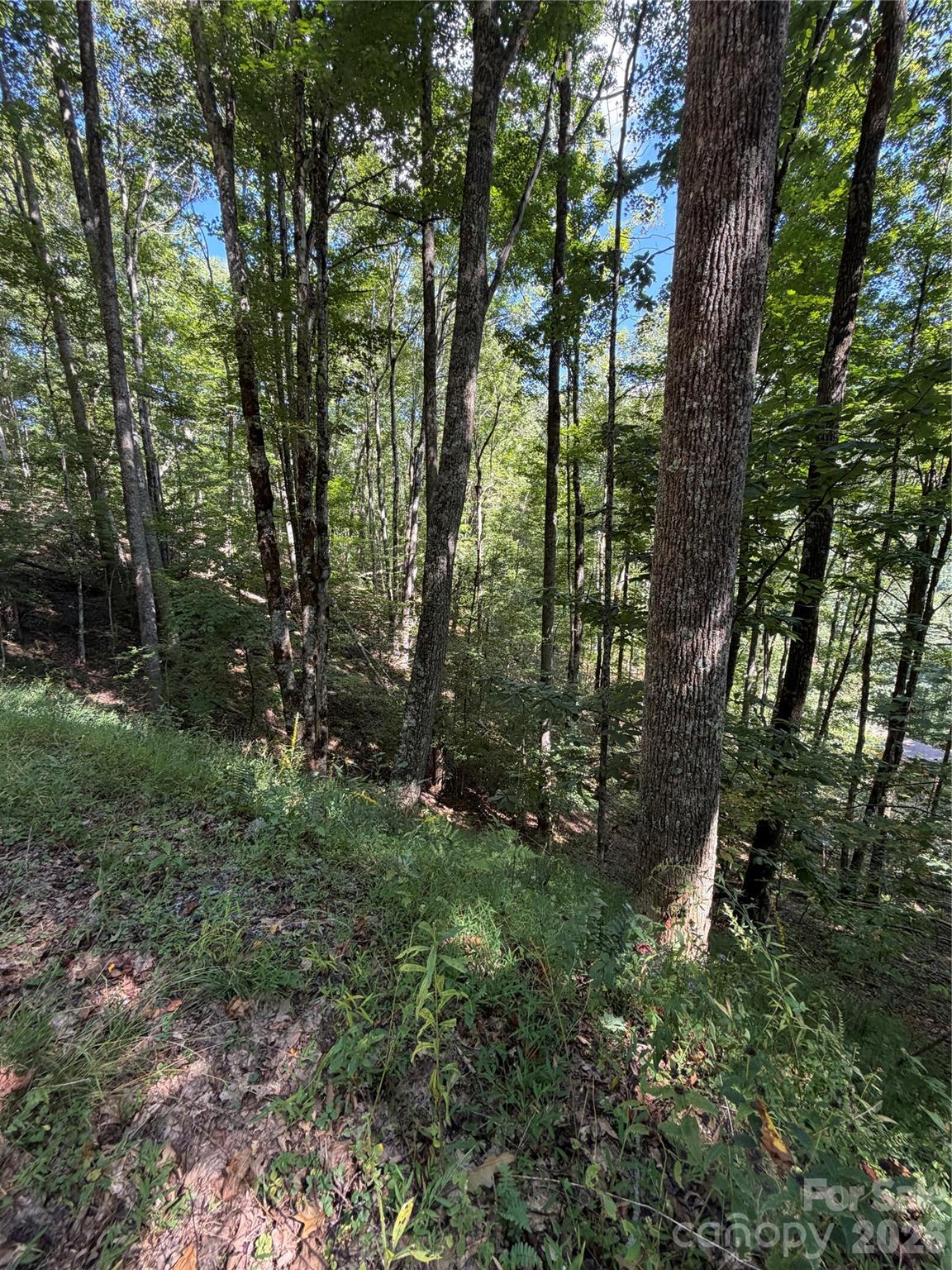 Lot at 38 Gardenside Lane, Mars Hill, photo 3 of 18