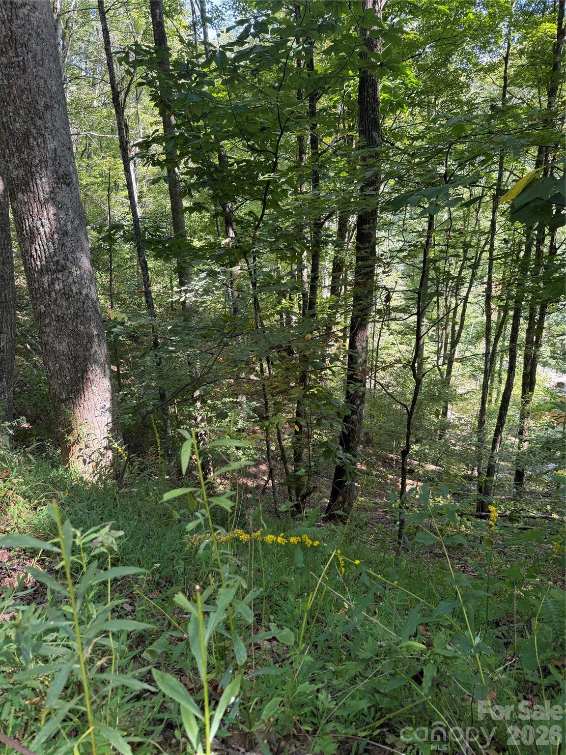 Lot at 38 Gardenside Lane, Mars Hill, photo 6 of 18