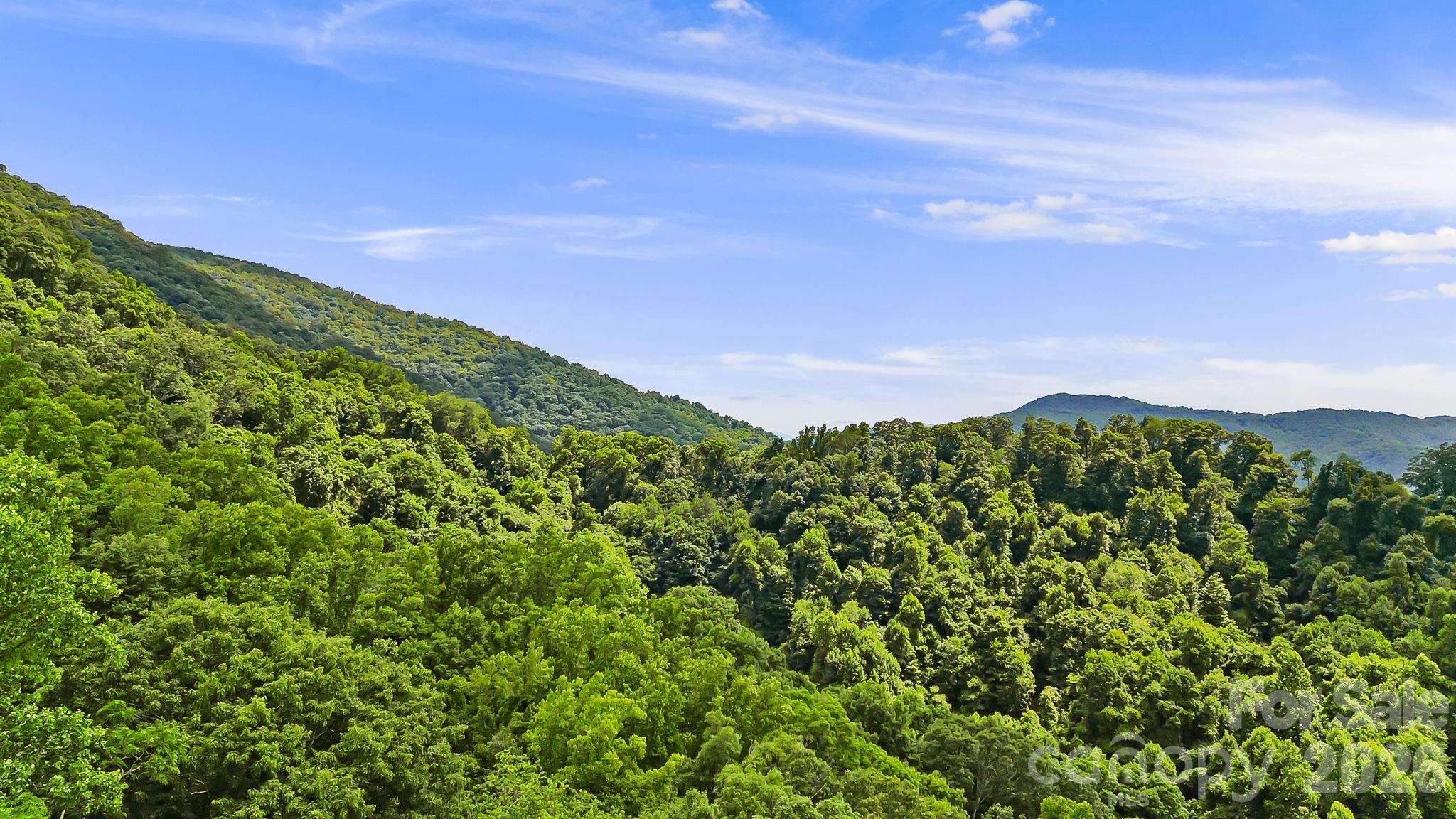 Acreage at 158 Sugar Cove Road, Weaverville
