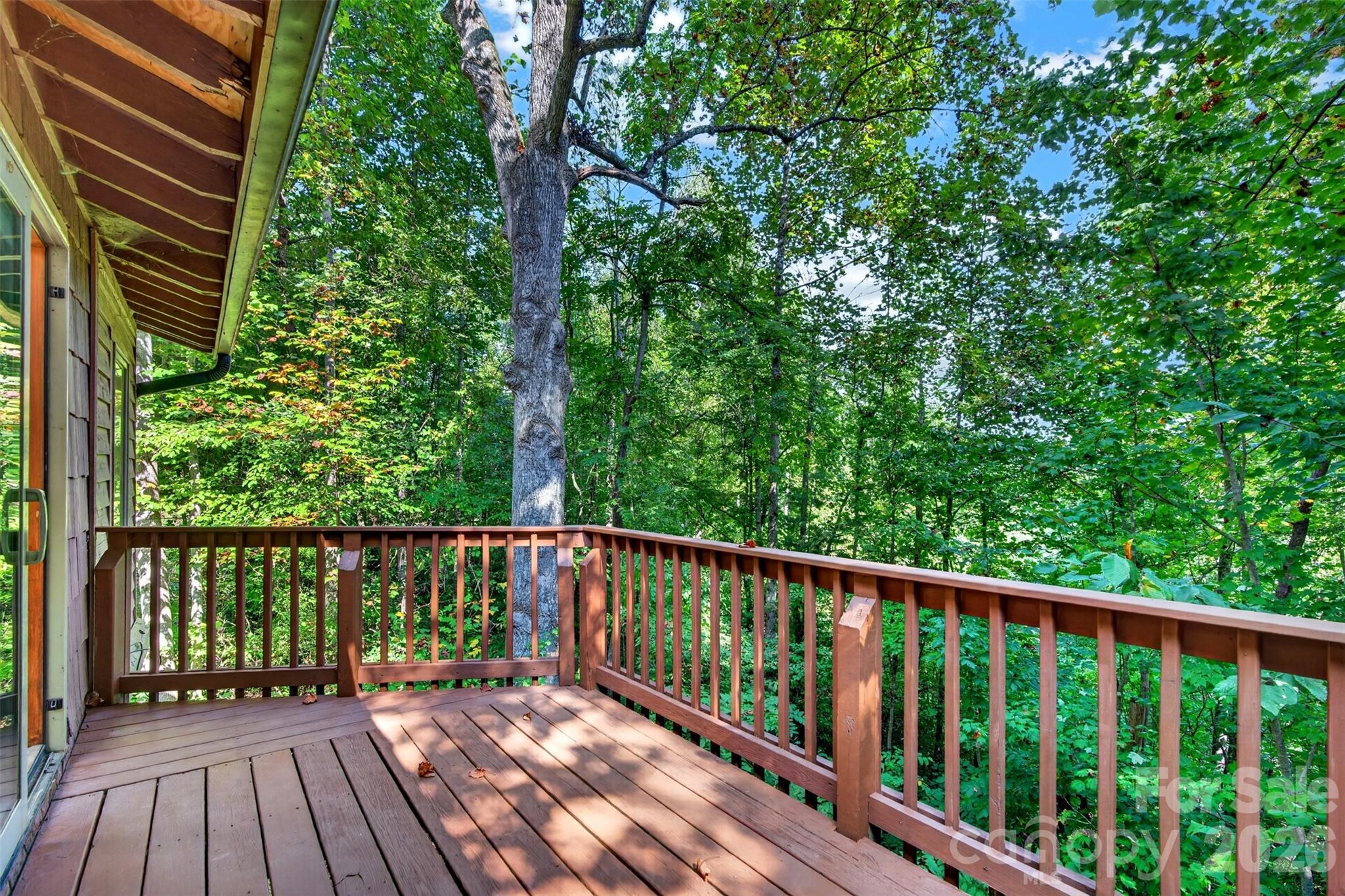 This is the opposite side- feels like your in a tree house - 9 Good Neighbor Ridge, Weaverville