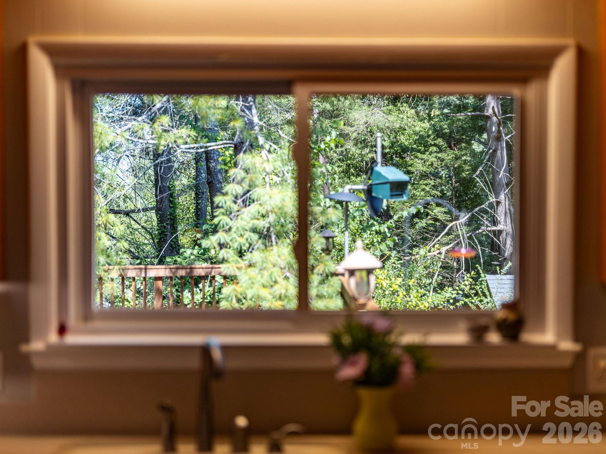 View out the back of the trees. - 1 Pheasant Ridge Drive, Asheville