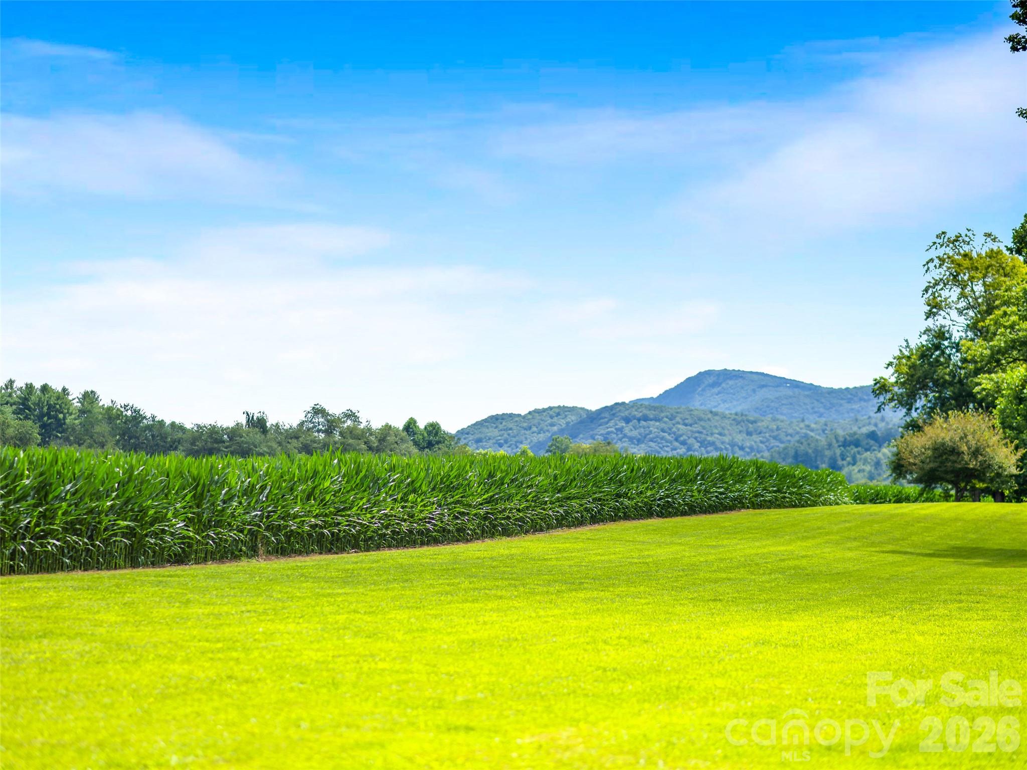Single Family Residence at 96 Merle Farm Lane, Pisgah Forest, photo 4 of 48