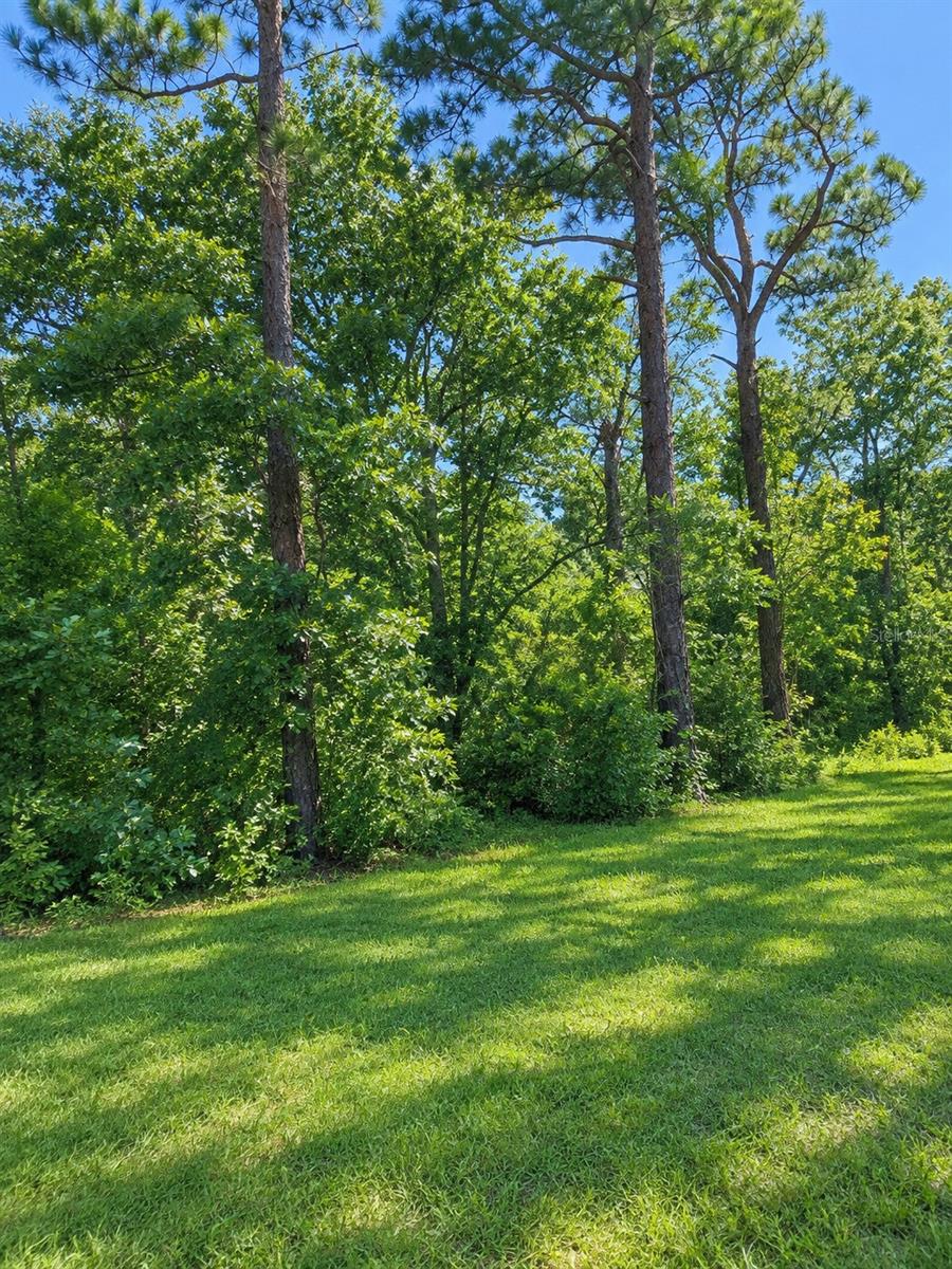 Land at 7360 W DUNNELLON RD, DUNNELLON, photo 2 of 5