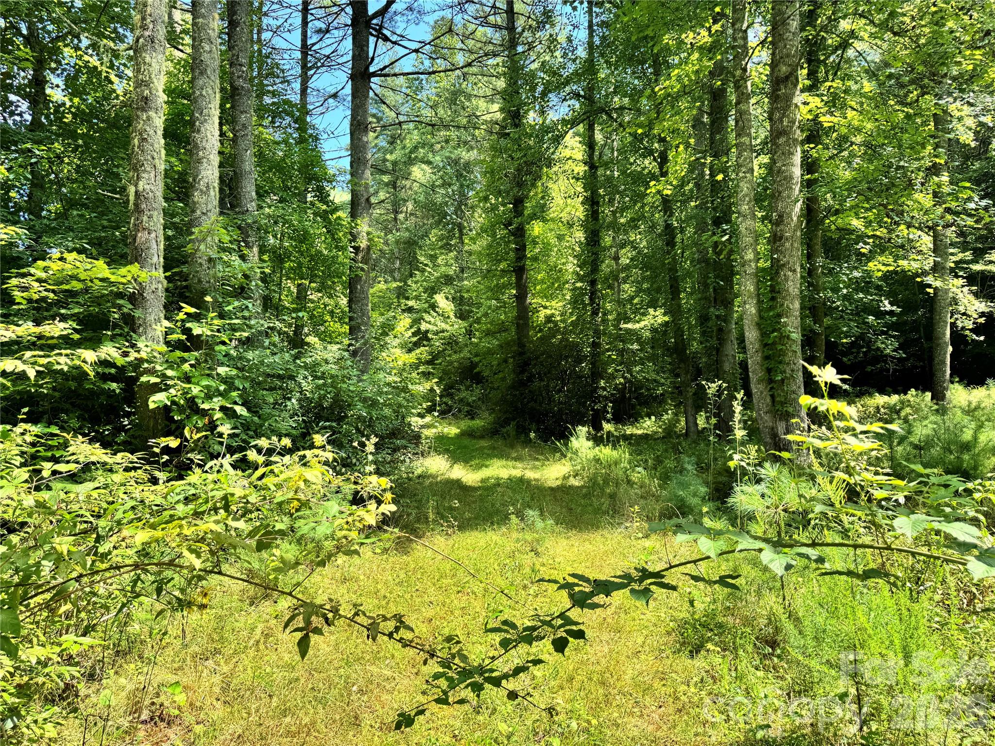 Acreage at 361 Rooster Cove, Brevard, photo 12 of 30