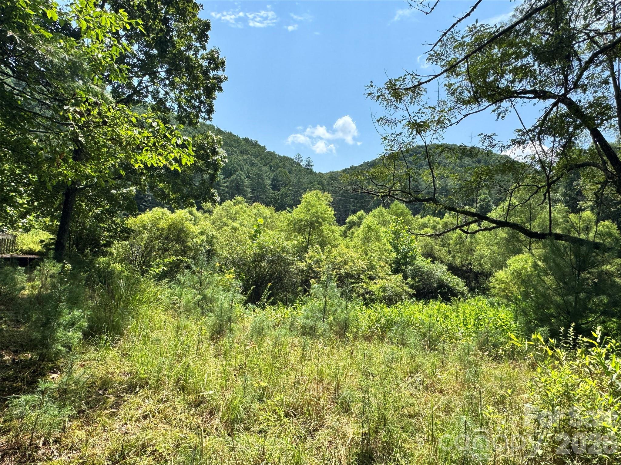 Acreage at 361 Rooster Cove, Brevard, photo 15 of 30