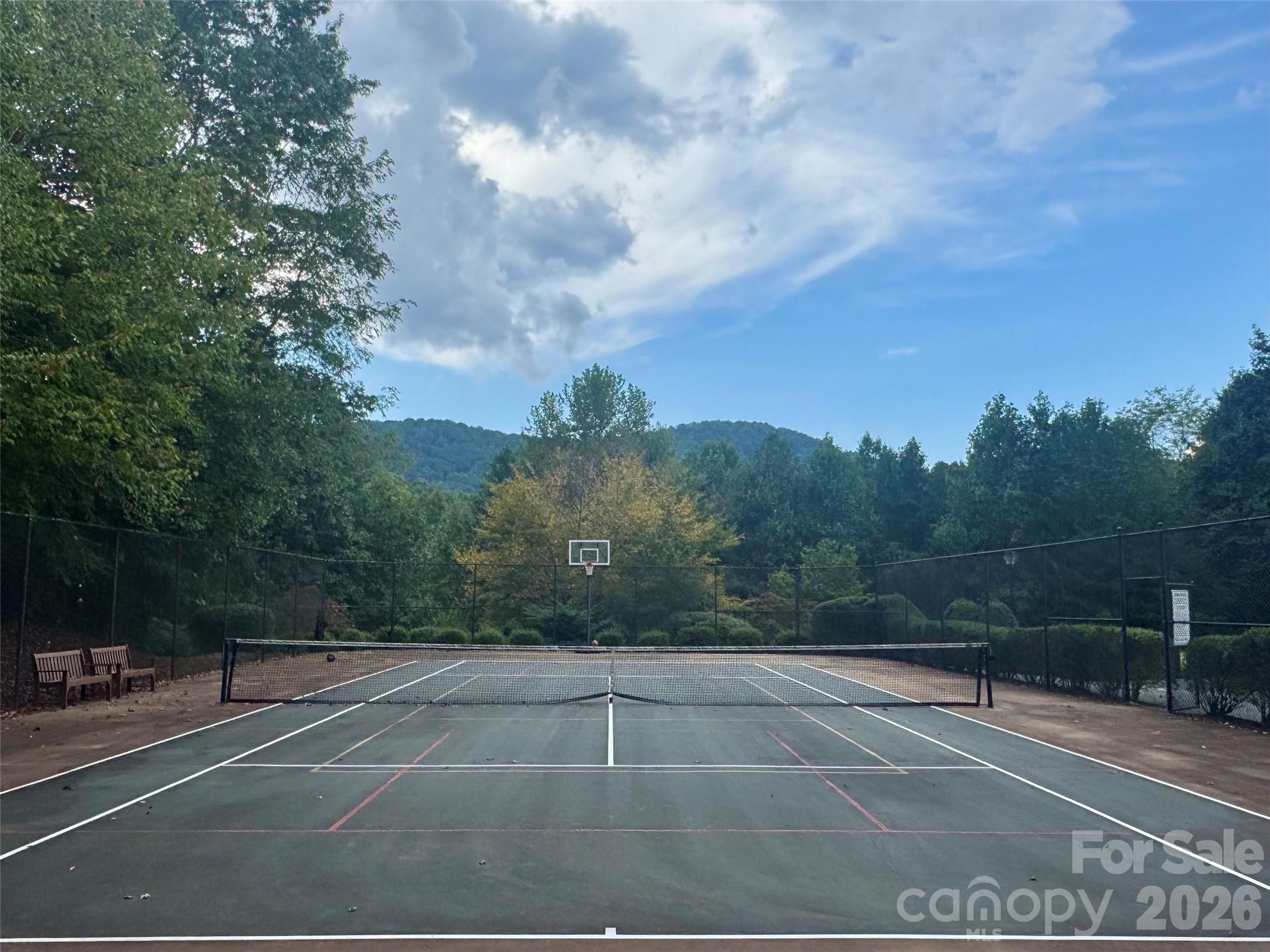 The sport court:pickle ball, tennis and b-ball. - 133 Smokemont Drive, Arden