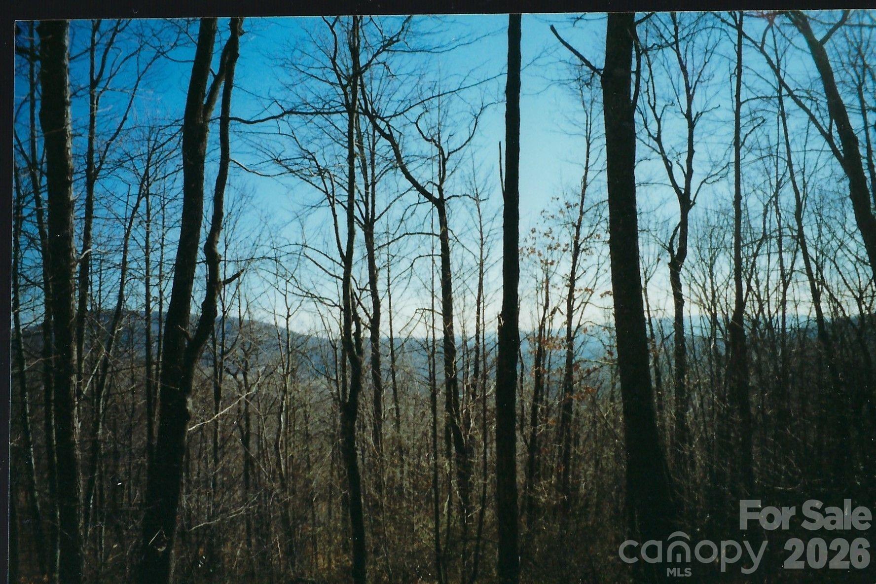 Lot #35 Damselfly Court