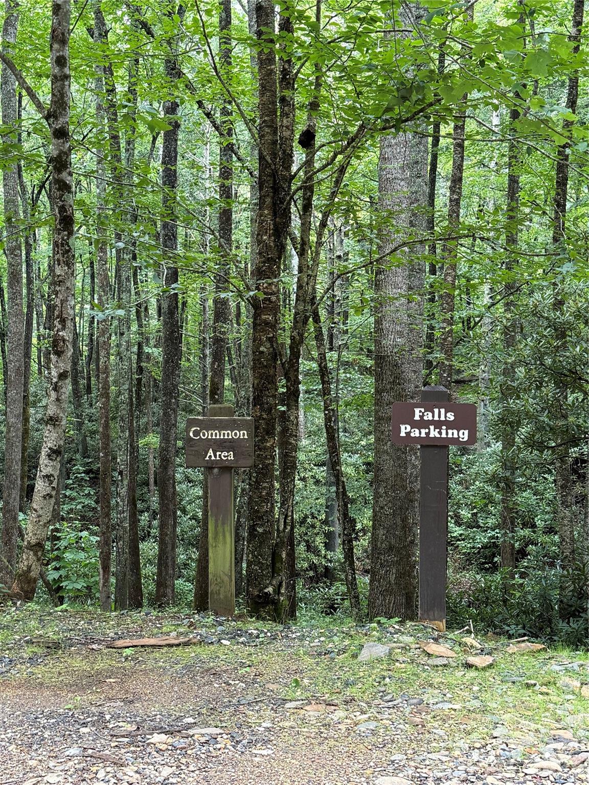 Community Area - Lot #35 Damselfly Court, Spruce Pine