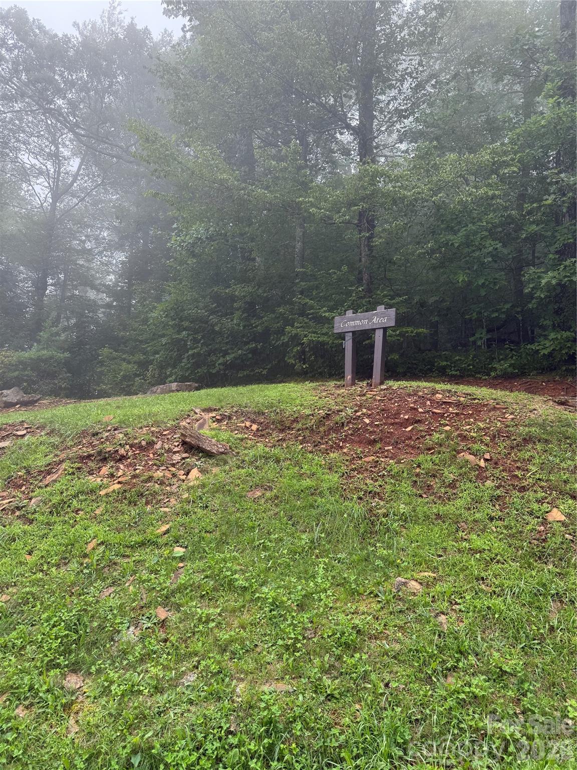 Community Area - Lot #35 Damselfly Court, Spruce Pine