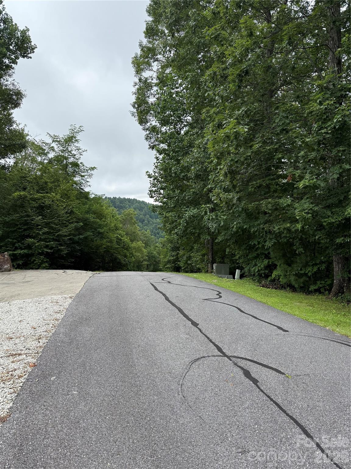 Lot at Lot #35 Damselfly Court, Spruce Pine, photo 8 of 11