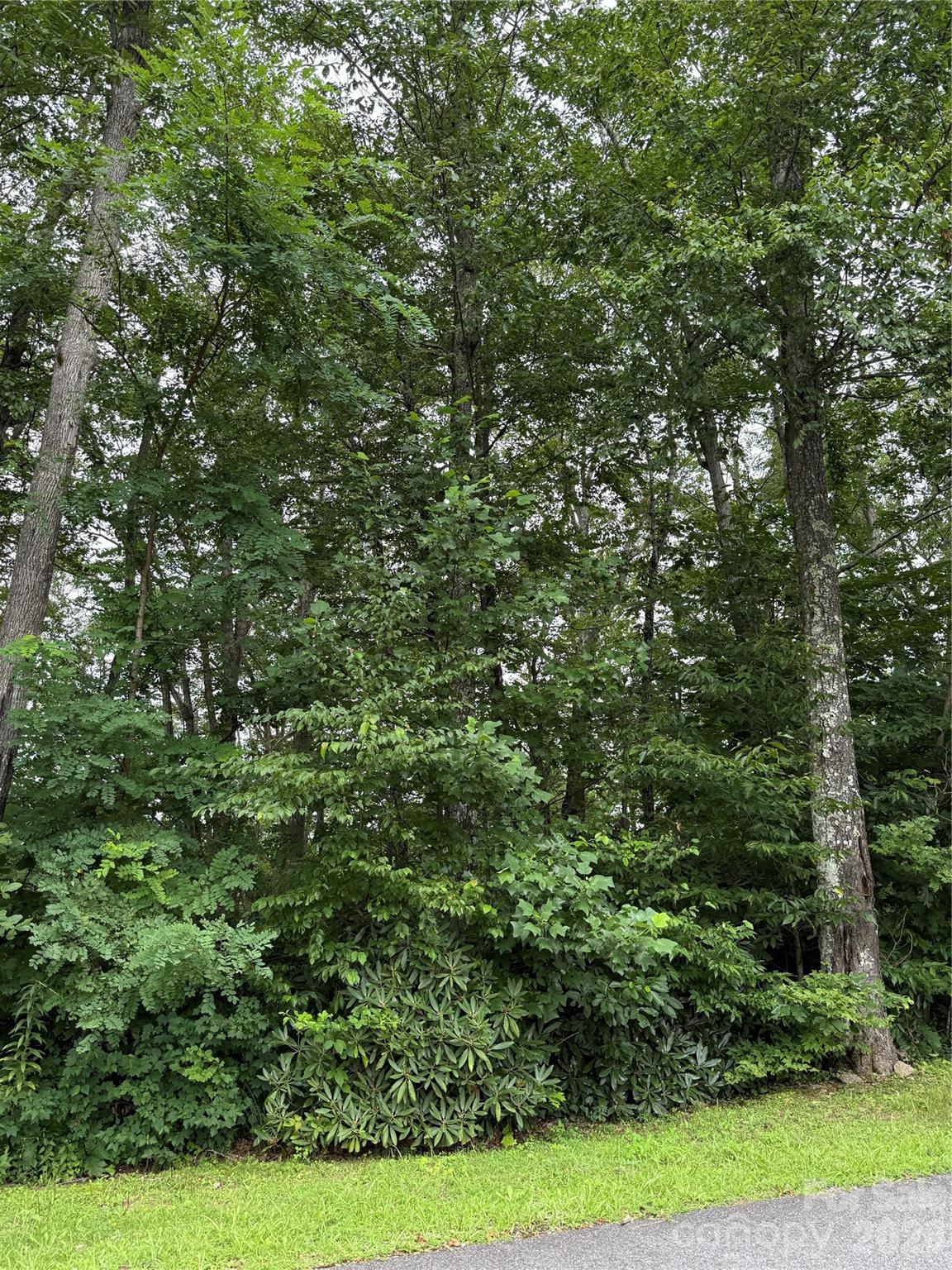 Lot at Lot #35 Damselfly Court, Spruce Pine, photo 9 of 11