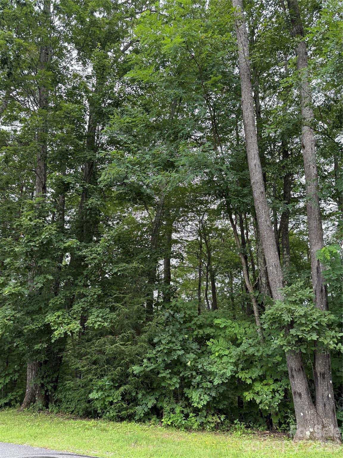 Lot at Lot #35 Damselfly Court, Spruce Pine, photo 10 of 11