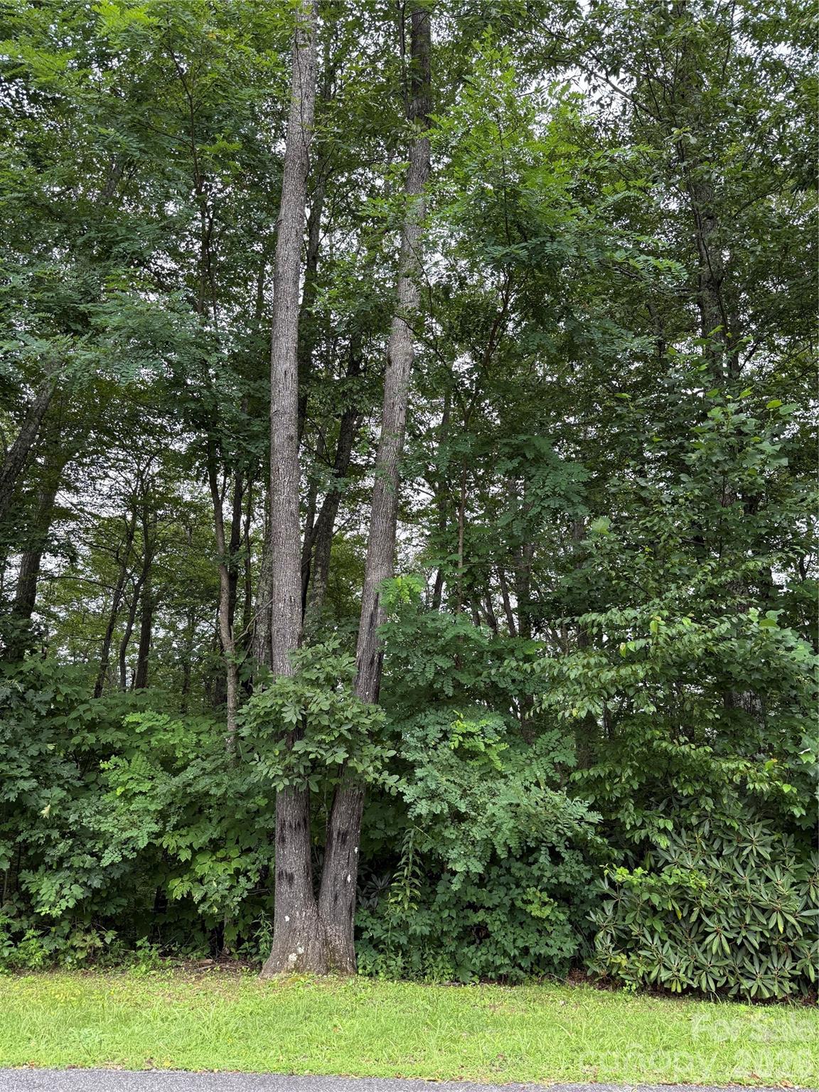 Lot at Lot #35 Damselfly Court, Spruce Pine, photo 11 of 11