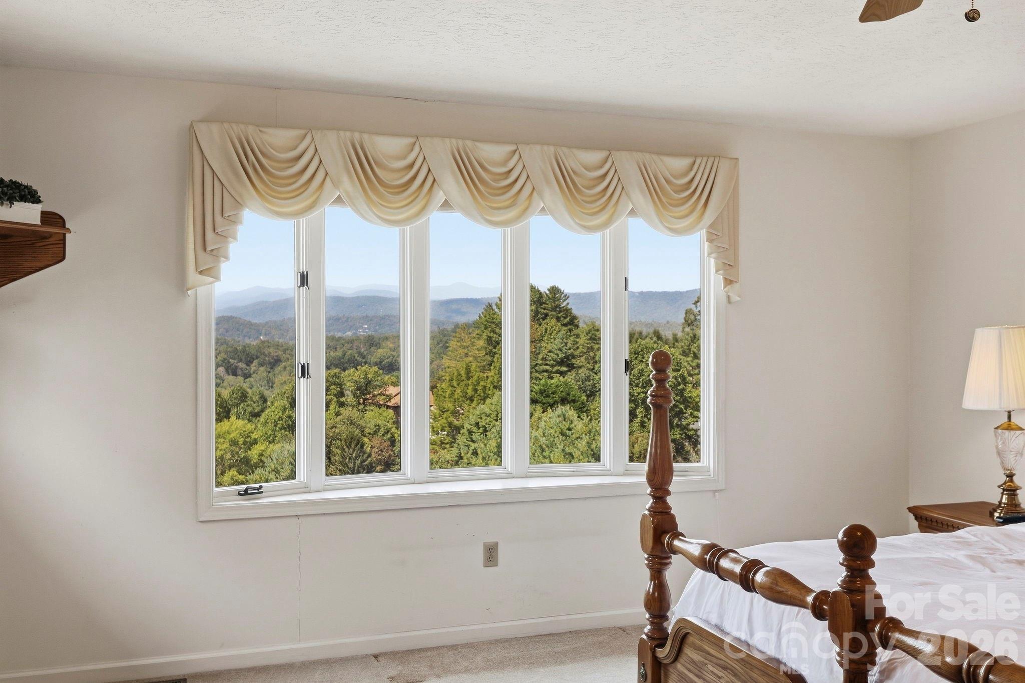 Views AGAIN, you just cannot get enough! - 244 Mountain Valley Drive, Hendersonville