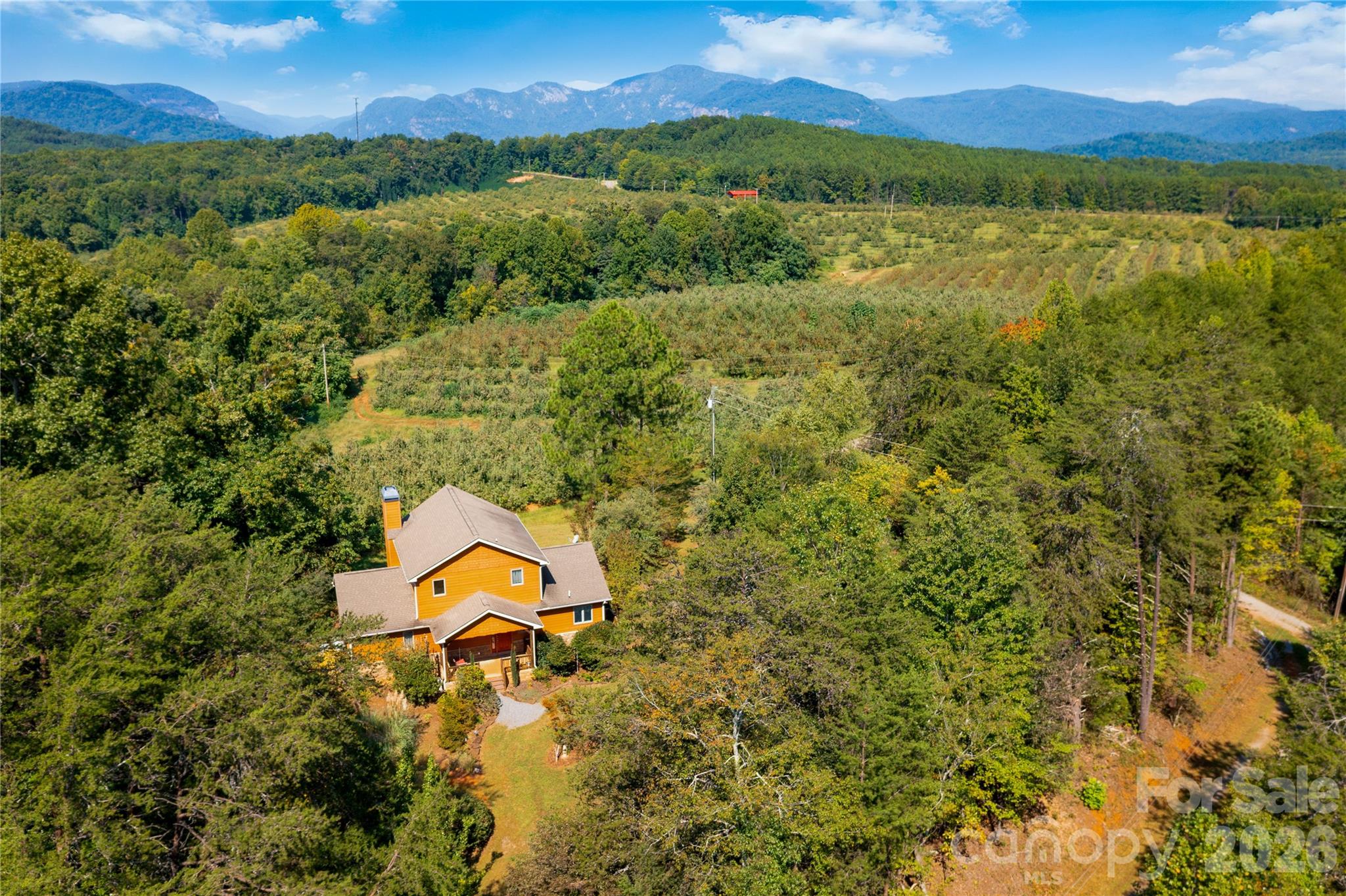 surrounded by trees - 296 Acorn Lane, Rutherfordton
