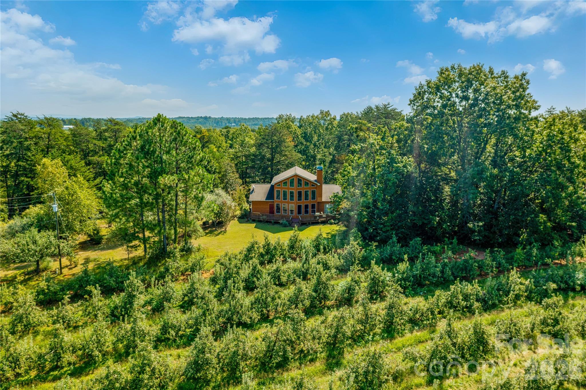 Over looking apple orchards/mountains - 296 Acorn Lane, Rutherfordton
