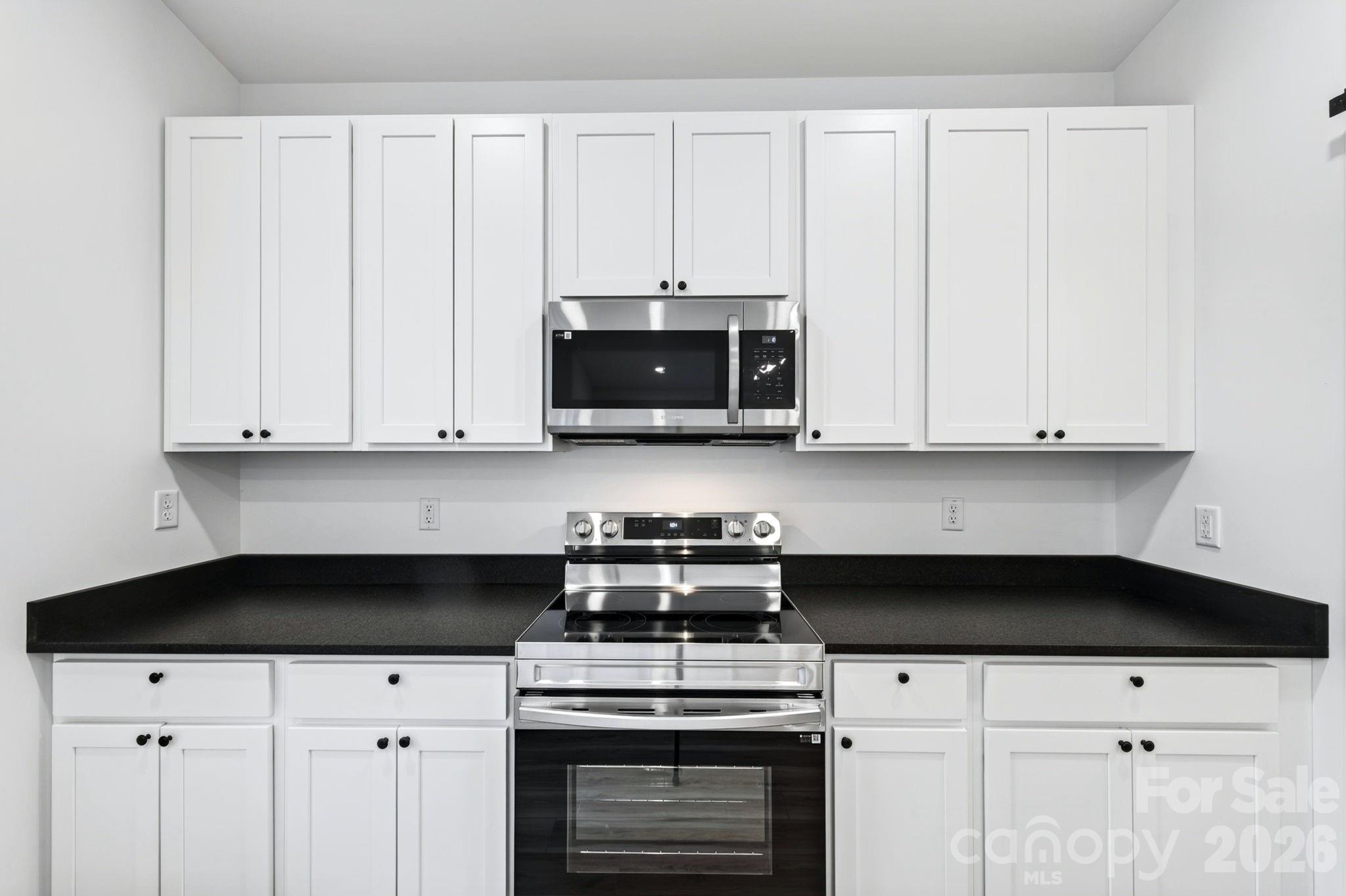 Stainless Steel Appliances - 60 Pearl Street, Black Mountain