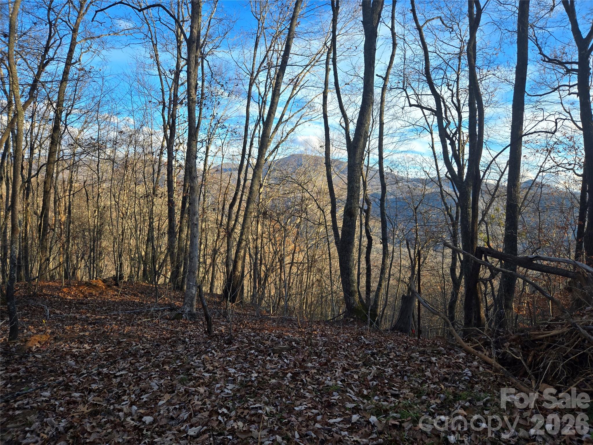 0000 Brasstown Road