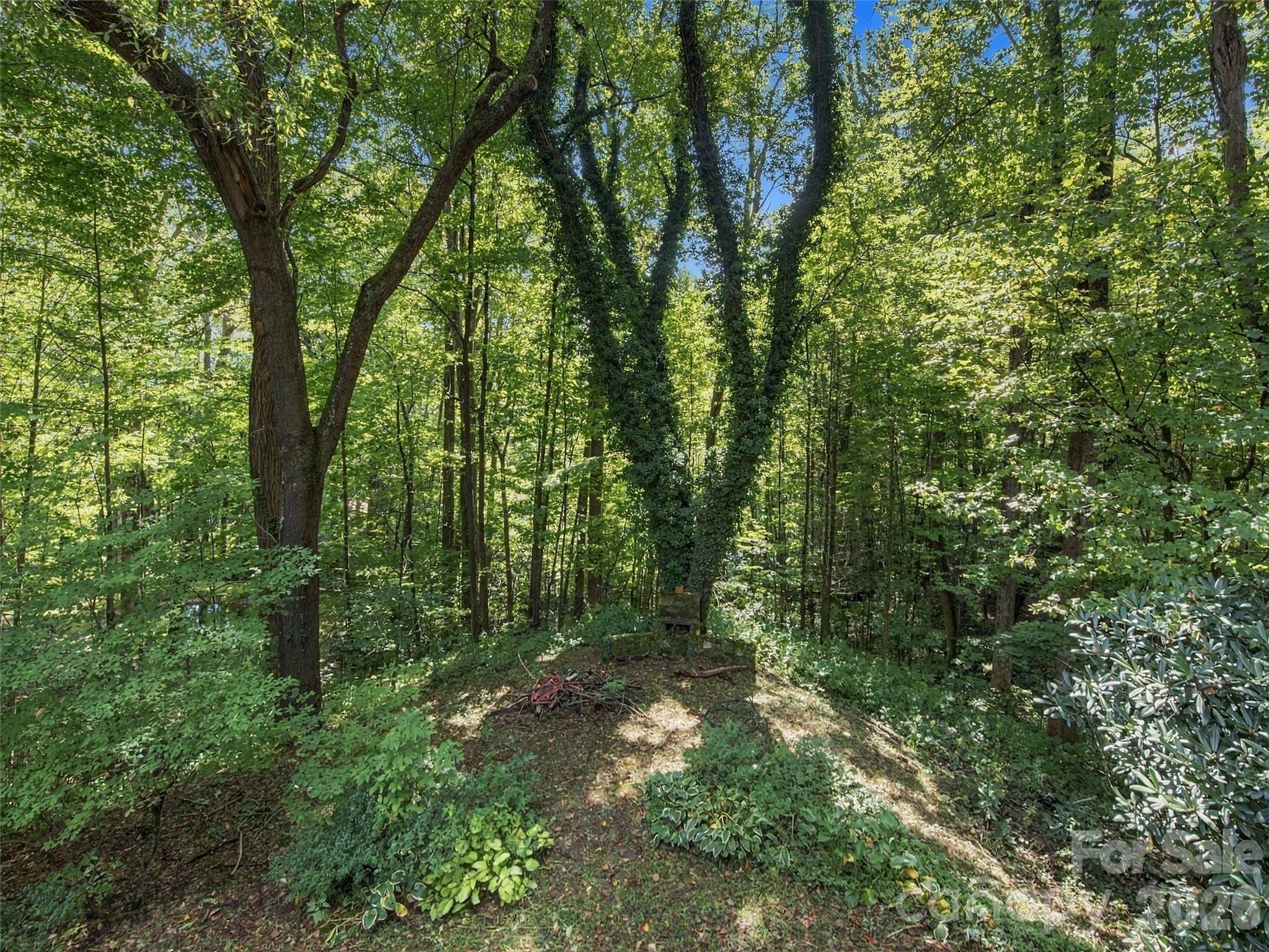 Single Family Residence at 151 Tiger Lily Lane, Waynesville, photo 8 of 26